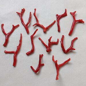 Bastoncino di corallo rosso italiano da 11 pezzi, bastoncino di corallo lucido di alta qualità, pietra preziosa di corallo naturale al 100%, bellissimo bastoncino di corallo rosso,