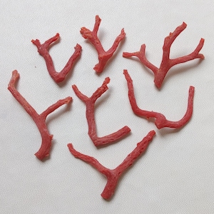 Wunderschöne Stücke !! 53 cts, 100% natürliche italienische rote Korallenedelstein-lose Zweige, nicht polierte AAAA + Qualitäts-Korallenstift-Edelsteine ...