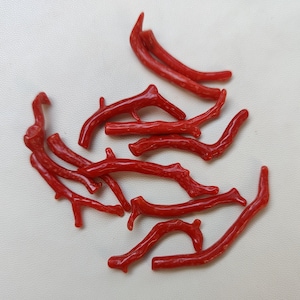 11 piezas de rama de coral italiano de 82 quilates/palo de coral/coral rojo/palo de coral rojo liso de coral. Fabricación de joyas con varillas de coral pulido