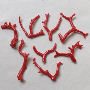 Corallo!! Pietra preziosa di corallo italiano naturale al 100%, rami di bastoncini di corallo rosso, rami di corallo ben lucidati di qualità AAA, bastoncini di corallo marino, SC367