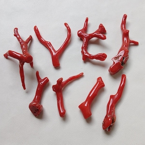 Corallo rosso 100% pietra preziosa di corallo italiano naturale, ramo sciolto di corallo rosso mediterraneo, pietra preziosa di corallo rosso, creazione di gioielli, X23