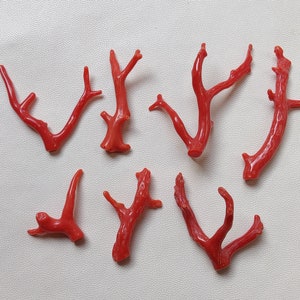 Lote de 7 "piezas de palo de coral rojo italiano, palo pulido de coral de alta calidad, piedra preciosa de coral 100% natural, hermoso palo de coral rojo,