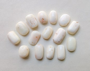 Vit korall, naturlig dyrbar vit korall, oval vit korall cabochoner, vacker vit japansk korall för att tillverka smycken.