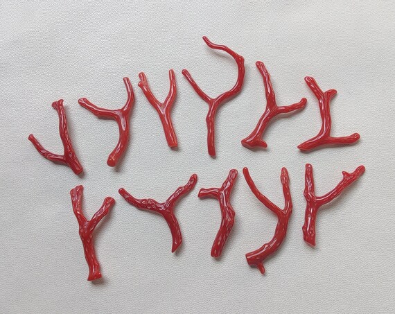 Branche De Corail Rouge 100% Naturel - Pierre Précieuse Brute - 18 Carats - Origine Inde