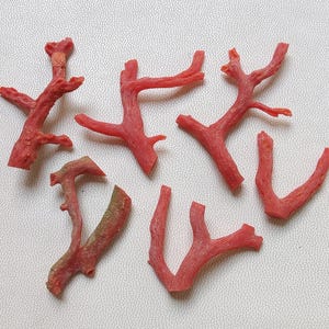 Ramo di corallo rosso italiano non lucidato al 100% naturale, 48 carati, ramo di corallo italiano, pietra preziosa di corallo rosso per la creazione di gioielli