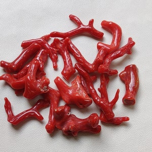 Piedra preciosa de coral rojo italiano 100% natural, rama suelta de coral pulido AA+ calidad Coral Stick Smooth Gemstone Designer Coral Sticks SL434
