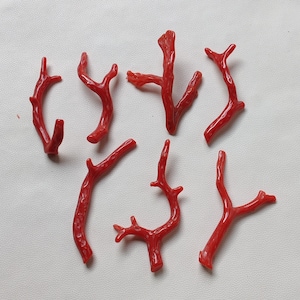 Lotto di bastoncini lucidi di corallo marino rosso naturale italiano con pietre preziose. Bastone lucido di corallo rosso italiano, creazione di gioielli con pietre preziose naturali.