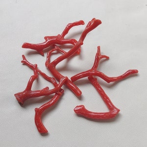 6 piezas de coral italiano en rama, coral rojo liso y coral rojo liso de 83 quilates. Fabricación de joyas con coral rojo pulido.
