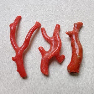 Albero di corallo rosso, pietra preziosa di corallo italiano naturale al 100%, ramo sciolto, pietre preziose di corallo lucidate di qualità AA++, bastoncini di corallo rosso