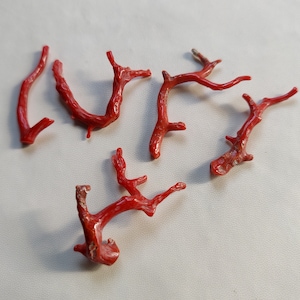 100% natürlicher polierter italienischer roter Korallenzweig-Stick 54 Cts polierter italienischer Korallenzweig Cabochon rote Koralle Edelsteinherstellung Schmuck