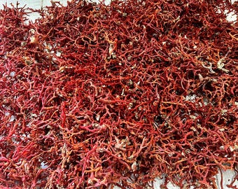 Red Coral Rough. 100% Natural Italian Coral Rough, Red Coral Branches Sticks, Non Polished Coral Sticks On WholeSale Price, Top Quality