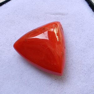AAA Natural Red Smooth Trillion Shape Coral , Loose Gemstone, Jewelry, Ring Size Pieces Red Coral Gemstone