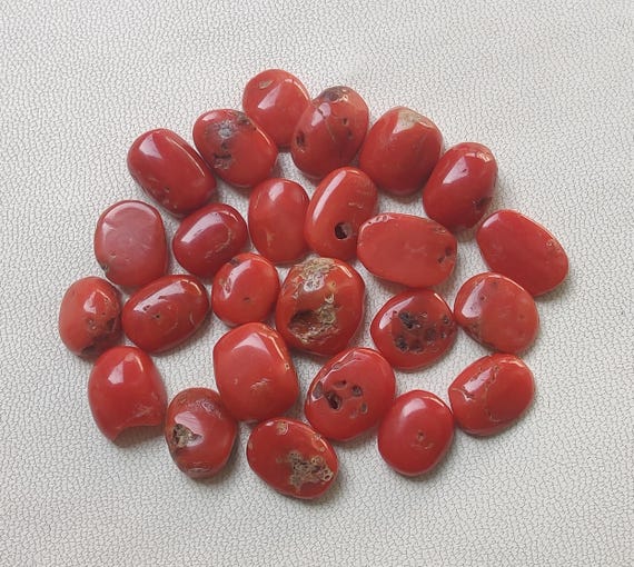 Cabochon De Corail Rouge Naturel D'Italie - 2.10 Carats - Taille 8.5x8.5x3.5 Mm