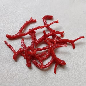 Piedra preciosa de coral rojo italiano 100% natural, rama suelta de coral pulido AA+ calidad Coral Stick Smooth Gemstone Designer Coral Sticks EC67