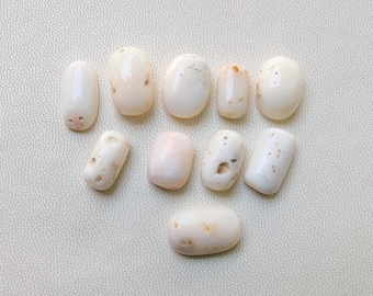 Vit korall, naturlig dyrbar vit korall, oval vit korall cabochoner, vacker vit japansk korall för att tillverka smycken.
