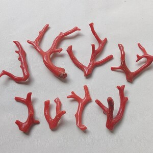 103 carati 8 pezzi di ramo di corallo italiano / bastoncino di corallo / corallo rosso / barriera corallina / creazione di gioielli con bastoncini di corallo rosso liscio.
