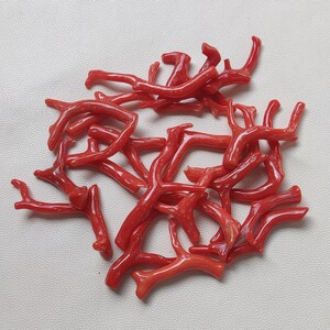 120 quilates 22 piezas de rama de coral italiano/palo de coral/coral rojo/palo de coral rojo liso de coral. Fabricación de joyas con varillas de coral pulido