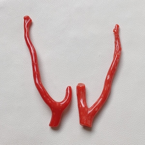 Roter Korallenbaum !! Italienischer roter Koralle-Stick-Edelstein, Italien-roter Koralle-loser Zweig-Edelstein, 100% natürlicher roter Koralle-glänzender polierter Stock,