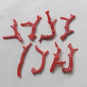 100% natürlicher polierter italienischer roter Korallenzweig-Stick 75 Cts polierter italienischer Korallenzweig Cabochon rote Koralle Edelsteinherstellung Schmuck
