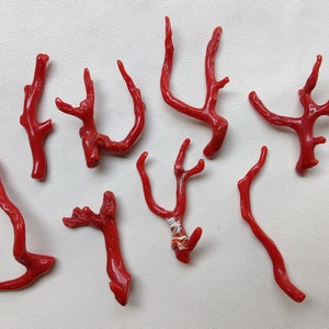 Wow.82 Cts 100% Natürliche Italienische Rote Koralle Edelstein Lose Zweig Poliert AAA + Qualität Coral Stick Glatte Edelsteine 54x31 BIS 40x30 MM X 47