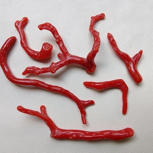 RAMAS DE CORAL ROJO!!! 42 quilates, barra de coral rojo italiano 100% natural. Piedra preciosa de rama pulida de coral de calidad A'1 para joyería.