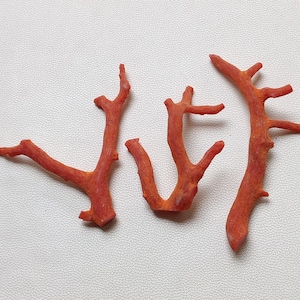 Corallo!! Pietra preziosa di corallo italiano naturale al 100%, bastoncini di corallo rosso, corallo grezzo non lucidato di qualità AAA, bastoncini di corallo marino