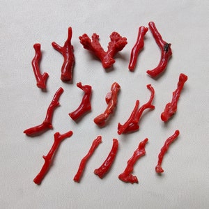 VENDITA !! Pietra preziosa in bastoncino di corallo rosso, bastoncino di corallo rosso italiano, ramo di corallo rosso sciolto, ramo di corallo rosso del Mar Mediterraneo per la realizzazione di gioielli