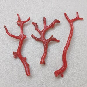 3 piezas de 60 quilates de rama de coral italiano/palo de coral/coral rojo/palo de coral rojo liso de coral. Fabricación de joyas con varillas de coral pulido