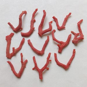 Árbol sin pulir, piedra preciosa de coral italiano 100 % natural, rama suelta, sin pulir, calidad AA++, lote de piedras preciosas de coral rojo.