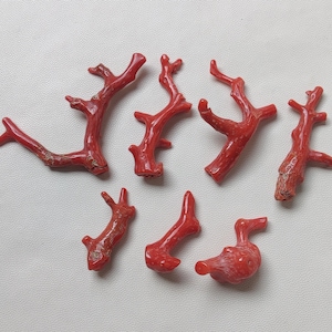 Bastone di ramo di corallo rosso italiano lucido naturale al 100% 110 ct Ramo di corallo italiano lucido cabochon di pietre preziose di corallo rosso che realizzano gioielli