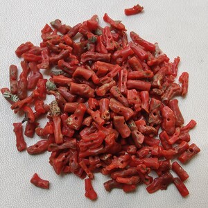 Red Coral Drilled Stick Beads-Mediterranean Red Coral Polished Stick Beads-Natural Red Coral Shiny Polished Stick-Jewelry Making