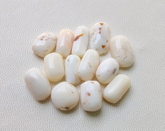 Vit korall, naturlig dyrbar vit korall, oval vit korall cabochoner, vacker vit japansk korall för att tillverka smycken.