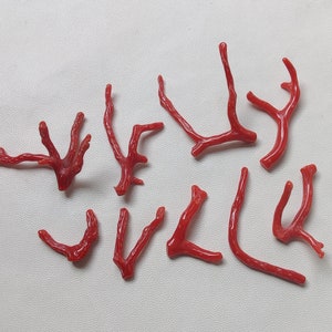 61 quilates 9 piezas de rama de coral italiano/palo de coral/coral rojo/palo de coral rojo liso de coral. Fabricación de joyas con varillas de coral pulido