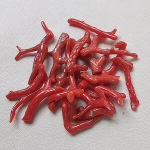 CORALLO.. 109 ct, pietra preziosa di corallo italiano naturale al 100%, ramo sciolto, lucidato, qualità AA+, pietra preziosa liscia in bastoncino di corallo rosso.