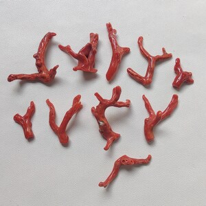 Lote de 10 "piezas de palo de coral rojo italiano, palo pulido de coral de alta calidad, piedra preciosa de coral 100% natural, hermoso palo de coral rojo,