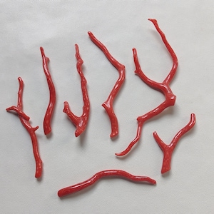 Árbol de coral rojo, piedra preciosa de coral italiana 100% natural rama suelta pulida AA++ piedras preciosas de palo de coral de calidad, palo de coral rojo