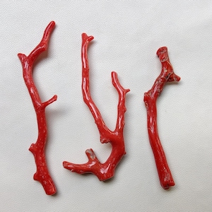 Koralle !! 100% natürlicher italienischer Korallen-Edelstein, rote Koralle-Sticks-Äste, AAA-Qualität gut polierte Korallen-Äste, Sea Coral Sticks, SC358