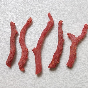 100% natürlicher, nicht polierter italienischer roter Korallenzweigstick 33 Cts, italienischer Korallenzweig, rote Korallenedelsteinherstellung von Schmuck