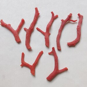 Natural Red Italian Stick Coral Gemstone Sea Coral Non Polished Stick. Italian Red Coral Stick, Natural Gemstone Jewelry Making.