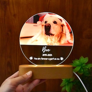 Custom Dog Photo Lamp, 3D Pet Led Night Light, Dog Keepsake Sign, Dog Memorial Night Light, Pet Photo Lamp, Loss Of Dog Cat, Pet Lover Gifts