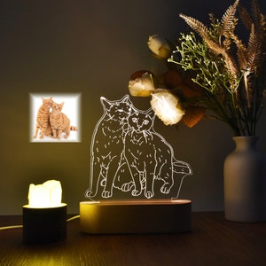 Benutzerdefinierte Fotolampe, benutzerdefinierte 3D-Lampengeschenk, benutzerdefinierte Line Art-Fotolampe, benutzerdefinierte 3D-Lampe, Geburtstagsgeschenk, Hochzeitsgeschenk, Muttertagsgeschenk, Hochzeitsgeschenk Bild 6