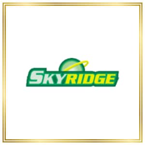 Skyridge Set (SK) / H1/144 - 150/144 / 2003 / PROXY TCG card(s)