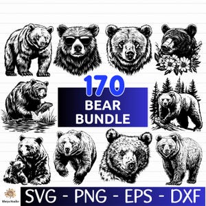 170 Bear SVG Bundle, Bear Vector Illustration, Forest Animal - digital download svg, png, eps, dxf, svg files for Cricut