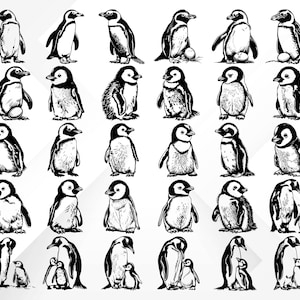 May include: A black and white illustration of a group of penguins in various poses. Some penguins are standing upright, while others are waddling or swimming. The penguins are all drawn in a simple, cartoonish style.