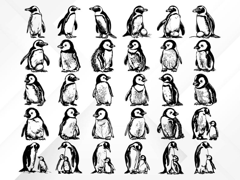 May include: A black and white illustration of a group of penguins in various poses. Some penguins are standing upright, while others are waddling or swimming. The penguins are all drawn in a simple, cartoonish style.