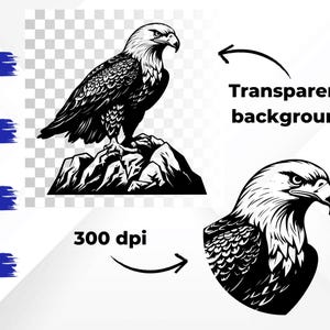 May include: Black and white illustration of a bald eagle perched on a rocky cliff. The eagle has its wings folded and is looking to the right. The image has a transparent background.