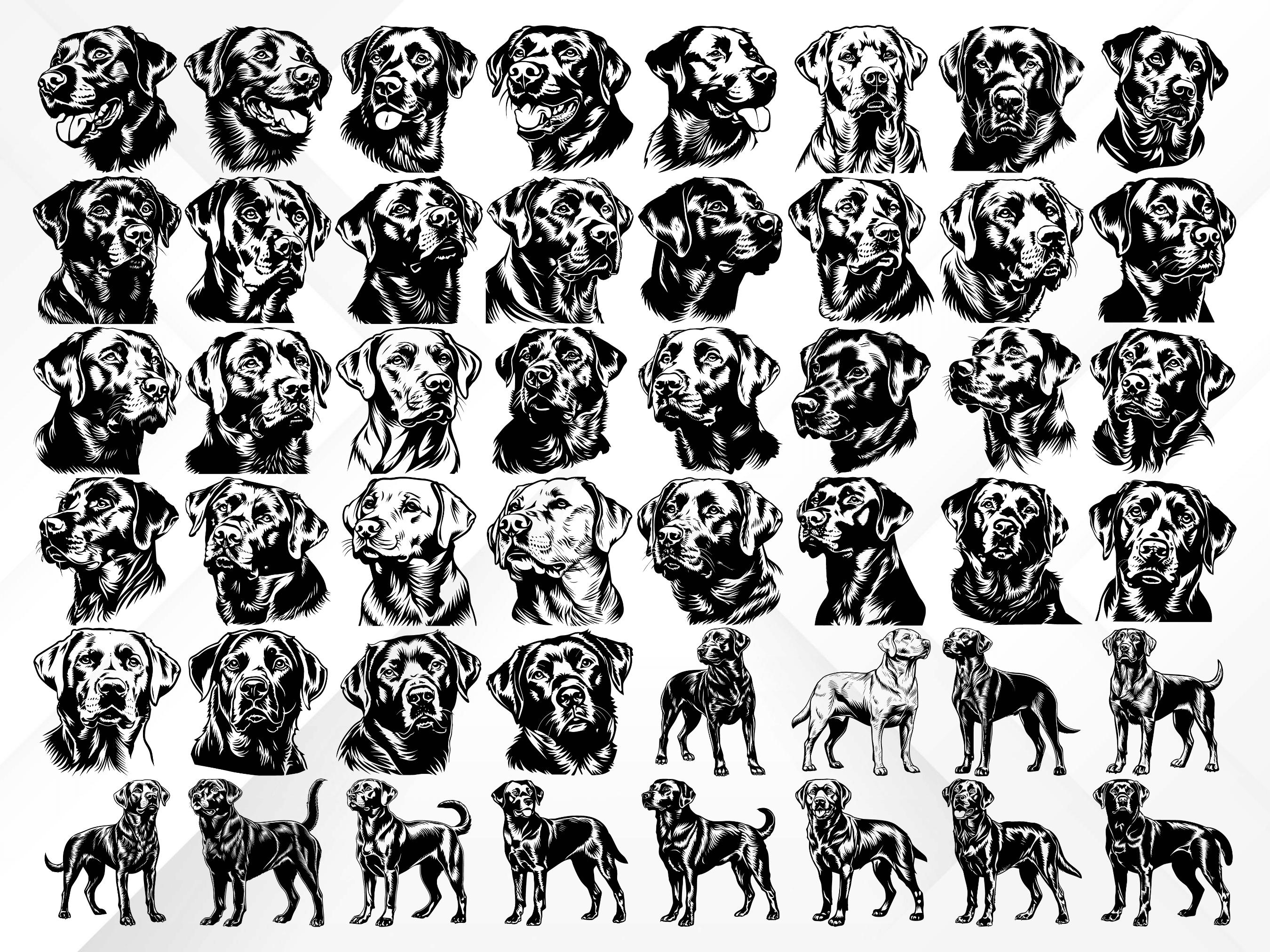 207 Labrador Retriever SVG Bundle | Hunting Dog Silhouettes & Clipart ...