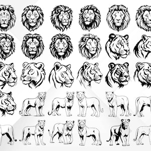 May include: A collection of 25 black and white lion and lioness head illustrations. The images are in a variety of poses, including profile, full face, and roaring.