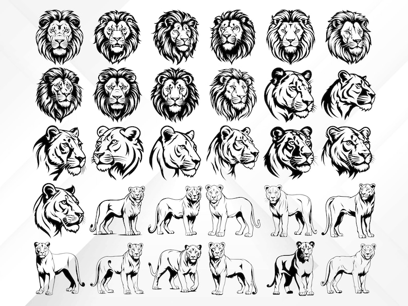 May include: A collection of 25 black and white lion and lioness head illustrations. The images are in a variety of poses, including profile, full face, and roaring.