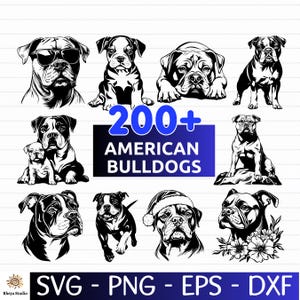 May include: A collection of black and white American Bulldog illustrations in various poses. The image includes the text "200+ AMERICAN BULLDOGS" on a blue background, along with file type options: SVG, PNG, EPS, and DXF.